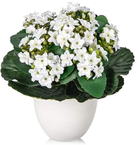 Arborus Kunstblumen im Topf Klein Künstliche Blumen wie echt 21cm Künstliche Kalanchoe Blumen Weiß Blumen Künstliche Pflanzen für Innen Dekoration Büro Küche Haus Zimmer Tisch Deko