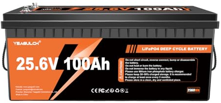 24V 100Ah LiFePO4 Lithium Batterie, 24V LiFePO4 Tiefzyklus Batterie 4000 Zyklen mit 100A BMS, MAX. 2560W, perfekt für Solaranlage,Wohnmobile, Leben ohne Stromnetz, Camping,Energiespeicherung