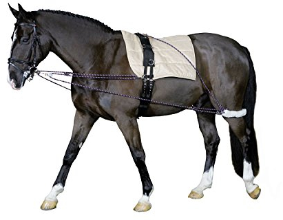 Cheval Longierhilfe Bodenarbeit Ausbildung Pony und Kleinpferde- Longiersystem Warmblut Longier-und Trainingssystem Longieren Hilfszügel