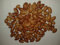 Portal Cool 30Pcs molto rara di semi di Argan dal Marocco nuovo raccolto
