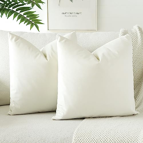 JOTOM Samt Kissenbezug Kissenhülle Sofakissen Dekokissen Kissenbezüge für Sofa Wohnzimmer Schlafzimmer 2er Set 50x50 cm Beige