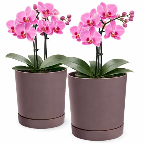 PECZEKO Blomkruka matta, planteringskruka av ytterkruka plast dekorativ kruka för, stora och små växter, set om 2 blomkrukor, blomkruka örtkruka (2-pack) Marsala, ø 30 cm