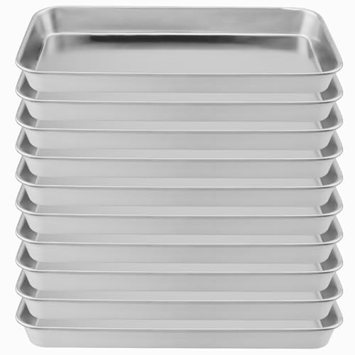 NAMYEUT Lot de 10 Plat INOX rectangulaire en Acier Inoxydable Plateau rectangulaire- 22,5 x 11,7 x 2 cm - Petit Plateau de Laboratoire - Utilisation dans Les laboratoires, Les hôpitaux
