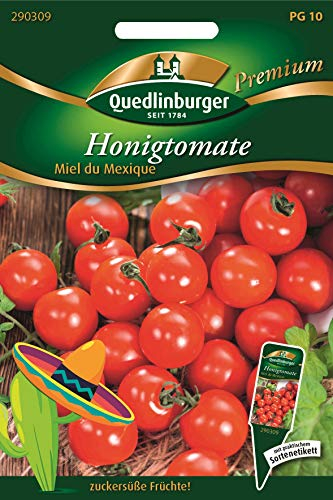 Quedlinburger Mexikanische Honig-Tomate Miel du Mexique,1 Portion