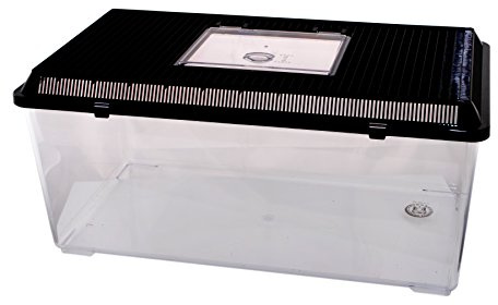 pet-plaza Faunarium en plastique Jumbo plat 56 x 31 x 26 cm