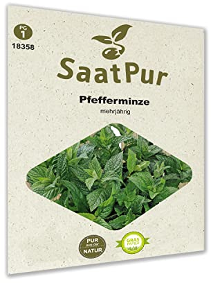 SaatPur Pfefferminze Samen, Saatgut für ca. 600 Pflanzen
