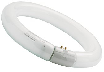 SYLVANIA T9 Leuchtstoff-Lampe, G10q Sockel, 40 Watt / 2800 Lumen entspr. ca: 40 Watt, Daylight (6500K), 16000h Lebensdauer, Ring Form, 29mm Durchmesser, Weißer Kolben, dimmbar, 1er Pack