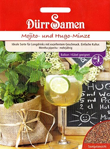Dürr-Samen - Mojito- und Hugo-Minze Saatgut