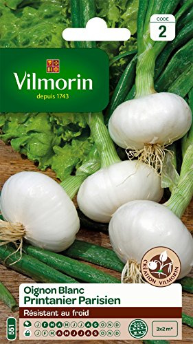 Vilmorin 3725142 Pack de Graines Oignon Printanier Parisien Création Blanc