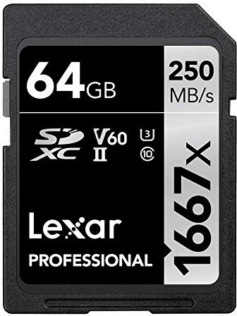 Lexar 64GB Professional 1667x SDXC Memory Card, UHS-II, C10, U3, V60, Full-HD & 4K Video, Up To 250MB/s Read, for Professional Photographer, Videographer, Enthusiast (LSD64GCBNA1667)