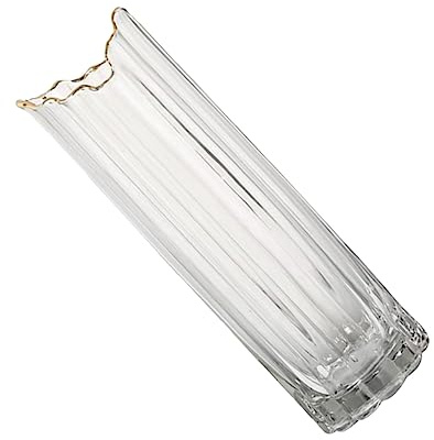 Warmhm Glasvase Für Blumenarrangements Pflanzgefäß Für Trockene Blumen Tischvase Mit Flachem Boden Blumenbehälter Aus Hygienischem Glas Für Zuhause Garten Und Wohnzimmer