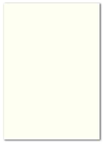 100x DIN A4 Papier - Naturweiß (Weiß) - 110 g/m² - 21 x 29,7 cm - Briefpapier Bastelpapier Tonpapier Briefbogen - FarbenFroh by GUSTAV NEUSER
