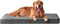 EHEYCIGA Orthopädisches Hundebett Mittelgroße Hunde 91x68x9cm, Hundekissen Waschbar Flauschig, Hundematte Hundematratze für Kiste, Grau