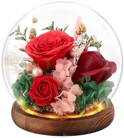 FAYODO Ewige Rose im Glas mit Licht, Konservierte Blumen als Geschenke für Frauen Mama Oma Freundin zum Valentinstag Muttertag Geburtstag Weihnachten Jahrestag Erntedankfest-Rot