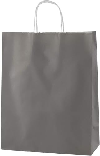 Thepaperbagstore 10 högkvalitativa papperspåsar med tvinnade handtag - grå - medium 250 x 110 x 310 mm