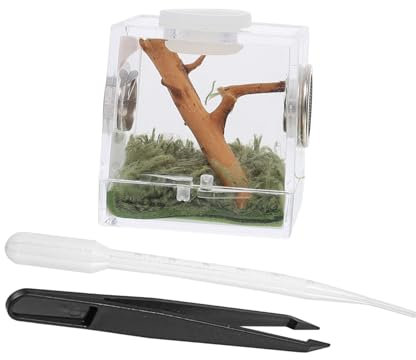 Supvox Terarium Schnecke Aufzucht Spinnen 2 Sets Springspinnen Zuchtbox Terrarientank Reptilien Spinnen Zuchtbox Terrarien Reptilienhalter Haustierzaun Vogelspinne Terrarium Für Reptilien