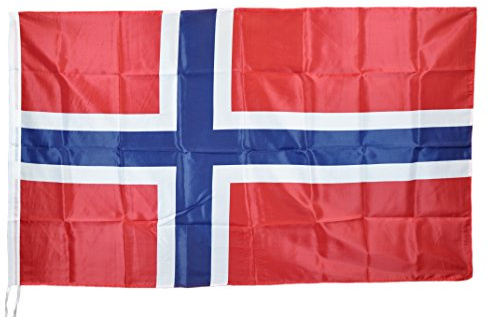 G.V. Bandiera Norvegia cm 90x150 Norge Flagg Norway Flag Norwegen Flagge Tessuto Resistente