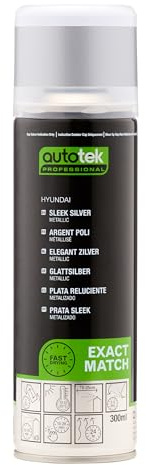 AutoTek Professional Exact Match Car Spray Paint, Hyundai Sleek Silver Aerosol Spray 300 ml