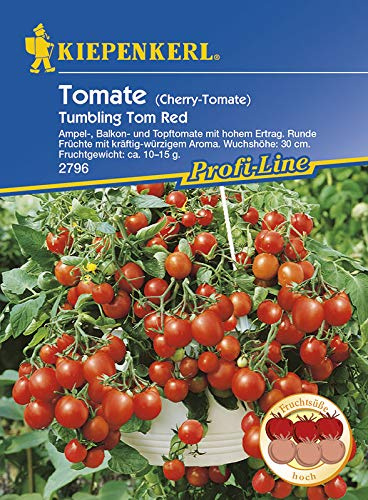 Tomatensamen - Tomate Tom Red von Kiepenkerl