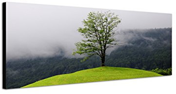 Augenblicke Wandbilder Keilrahmenbild Wandbild 150x50cm Wald See Nebel Insel Baum Spiegelung