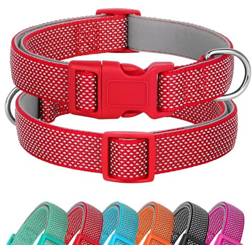 Didog Reflektierendes Hundehalsband mit Schnalle, verstellbar, weiches Neopren, gepolstert, Nylon, Haustierhalsbänder für kleine, mittelgroße und große Hunde, Rot, M