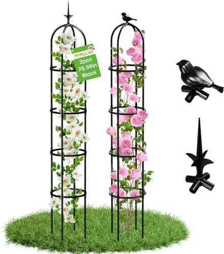 Traliccio da giardino per piante rampicanti, tubo in metallo antiruggine con rivestimento in plastica resistente, supporto per piante da giardino in vaso, obelisco da giardino per rampicanti (nero, 2