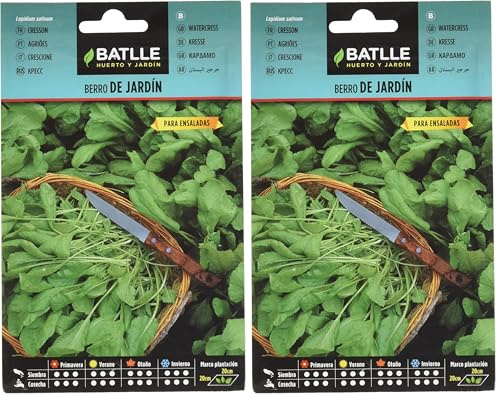 Graines aromatiques de Batlle - Cresson de Jardin (Seeds - 20-30cm) (Lot de 2)