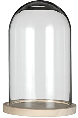 Campana in vetro a cupola in vetro con base in legno, diametro 14 cm, altezza 21 cm, diametro vetro: Ø 11,5 cm, altezza vetro: 20 cm