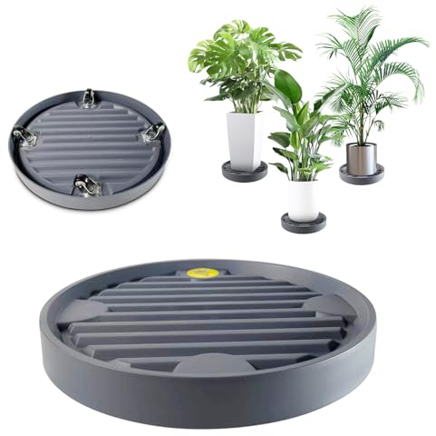 Notcilgias Pflanzenroller, Ø31cm Rund Kunststoff Blumenroller mit Universalrollen, Tragkraft 75kg, Blumentopf Rolluntersetzer für Innen und Außen, Grau, 1 Stück