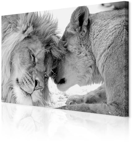 decomonkey Bilder Wandbilder Löwe Afrika Löwenpaar 120x80 cm 1 Teilig Tiere | Leinwandbilder, Bild auf Leinwand, Wohnzimmer, Wanddekoration, Wildlife, Natur, Savanne