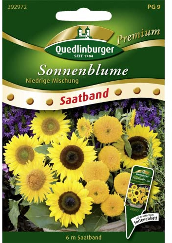 SB Sonnenblumen, niedrige Mischung