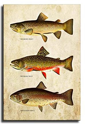 SUPERYUFENG Retro Forelle Fliegenfischen Gemälde, moderne Leinwanddrucke, Kunstdruck, auf Leinwand, Wandkunst, für Zuhause, Büro, Dekoration, 40,6 x 61 cm