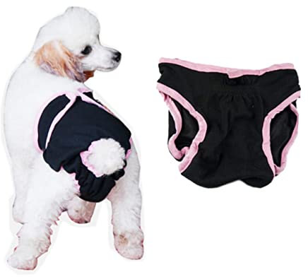 BESPORTBLE Hundehosen Windelhöschen für Weibliche Hunde Waschbar für Die Menstruation Bei Erregbarem Urinieren