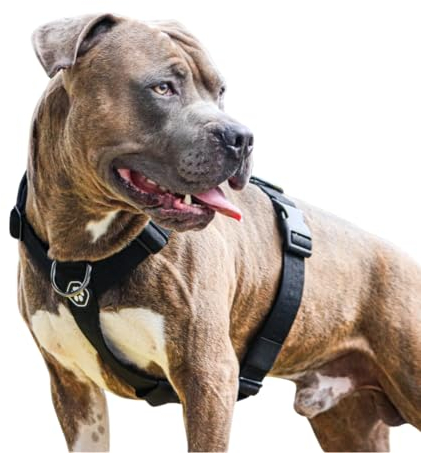 Spark Paws No Pull Hundegeschirr Grosse Hunde, Halterdesign mit Frontclip, Y Geschirr Hund, Robust und Strapazierfähig Harness für Große und Starke Rassen - Black, L