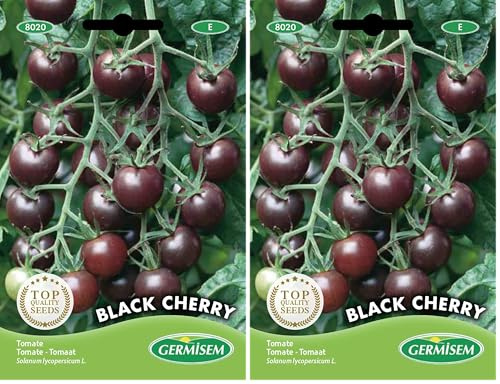 Germisem Black Cherry Tomate 20 Semillas (EC8020) (Paquete de 2)