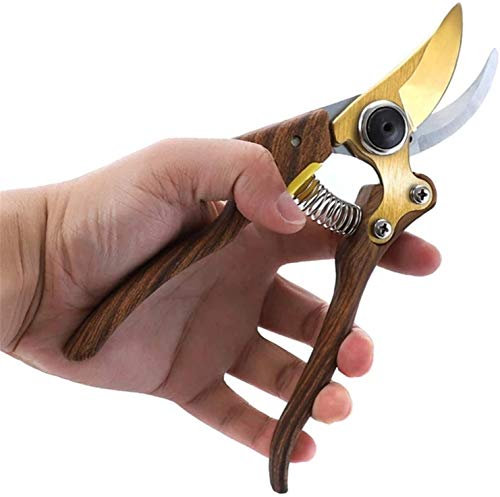 HYEFDWS Gartenschere Edelstahl Professionelle Gartenschere Arbeitssparende Gartenschere Gartenschere Mehrzweck-Gartenschere/Braun / 20,5 cm Garten oder Rasen