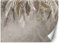 Feeby Papel Pintado Niebla Nubes Botánico 450x315 cm Gris Decoración De Pared Fotomural Decorativo Murales Comedores Salones Habitaciones Naturaleza Tropical Hojas