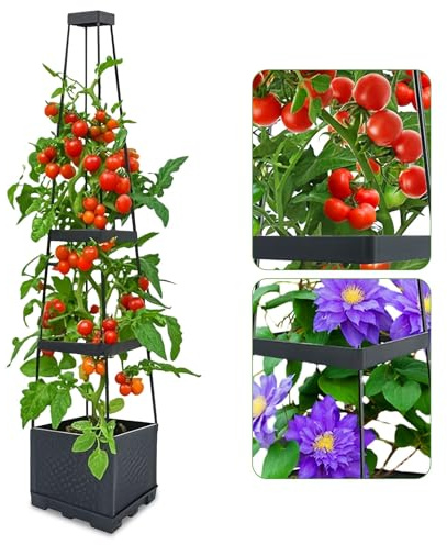 Self-Watering Tomato Planter Cage Adjustable Raised Garden Bed Support Box