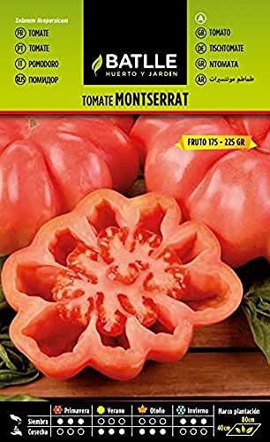 Semillas Batlle – Semi di Pomodoro