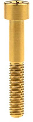 Yaruijia Titan-Bolzen M8 x 20 25 30 35 40 45 50 60 70 mm Innensechskantschraube für Fahrrad Motorrad Zubehör (M8 x 30 mm, Gold)