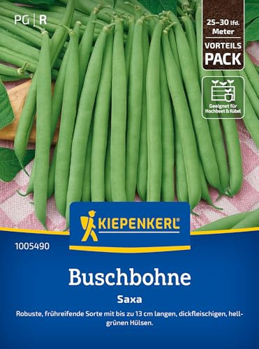 Kiepenkerl Buschbohnensamen Saxa 1005490 – Gemüsesamen für Bohnen mit bis zu 13 cm langen Hülsen und Inhalt für 25 bis 30 lfd. Meter - Saatgut, Gemüse Pflanzen