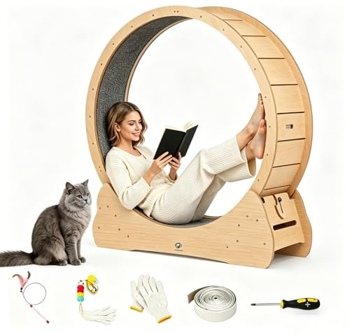 100cm Katzenlaufrad Indoor, großes Katzenrad aus Holz mit Teaser, leises Laufrad für Katzen 2-22kg, Katzen Treadmill mit Sicherheitsschloss & Rutschfester Lauffläche, für Wohnung und Haus, Gelb
