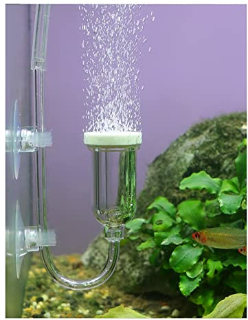 boxtech Aquarium Air Stone, Fish Tank Bubble Diffuser High Dissolved Oxygen Airstones for Air Pump Accessoriess with 1 Check Valve, 2 Suction Cup for Aquarium Pond Hydroponic | High dissolved oxygen airstones for air pump, Includes 1 check valve + 2 suction cups,For aquarium, pond, hydroponic