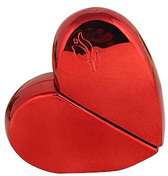 DRESSOOS Flacon Pulvérisateur De Parfum En Métal De 25 Ml Flacon De Parfum Rechargeable De Voyage À La Mode Rouge