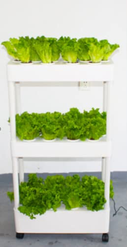 MEIVIYA Hydroponisches Anbausystem Indoor Home Used Hydroponic Tower Growing System Grow Planter Box 3Layers Aeroponic System Indoor Vertical Garden Tower with Led Light(3layers)
