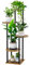 YOCOMEY Scaffale per piante in legno, a 5 piani, a più piani, per fiori, per interni, esterni, balcone (nero rotondo)