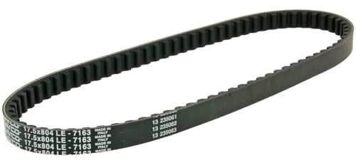 Keilriemen DAYCO Typ 804x17,5mm kompatibel für Piaggio TPH 50, Gilera Typhoon 50 DT 93-97 TEC1T, PIAGGIO NRG 50 DT LC 94-96 SAL1T, NRG 50 mc² DT LC 96-98 ZAPC040