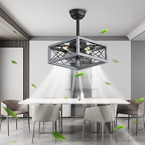 WDENI Caged Ceiling Fan with Lights Remote Control, 14'' Modern Industrial Chandelier Ceiling Fan with Light, Bladeless Ceiling fan Light, DC Motor Reversible.