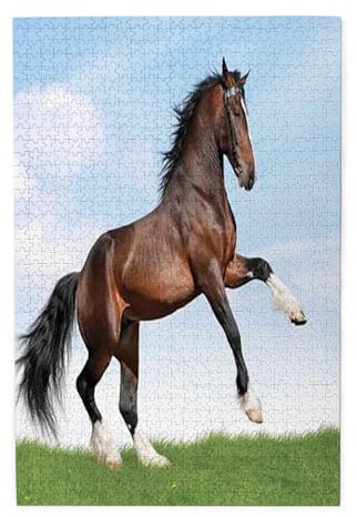 Koxitip Horse,Portable Wooden Jigsaw Puzzle for Adults,Big Bay Horse in Field,Birthday Gift for Family and Friends,Green Brown Plastic Box Storage 1000PCS