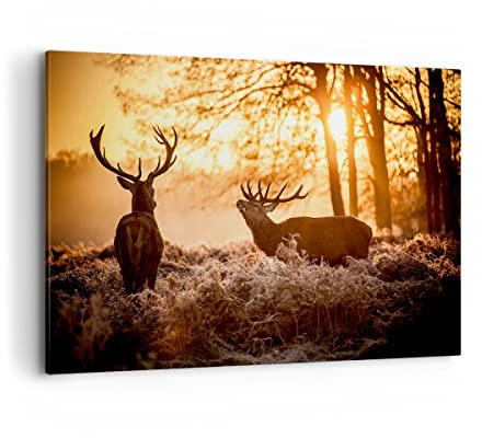 ARTTOR Bilder auf Leinwand 120x80cm Wandbild Natur Tiere - 3043 | Reh Heidekraut Tier Groß XXL Wanddekoration Wohnzimmer Schlafzimmer Wanddeko Wand Kunstdruck Wandkunst Wall Decor ARTTOR